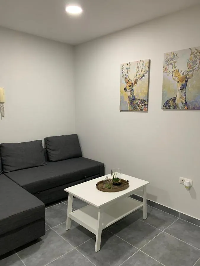 Apartamento Centrico En Puerto Del Rosario פוארטו דל רוסריו